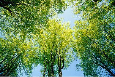 索尼谈《死亡搁浅》投奔微软通行证：并未参与此事